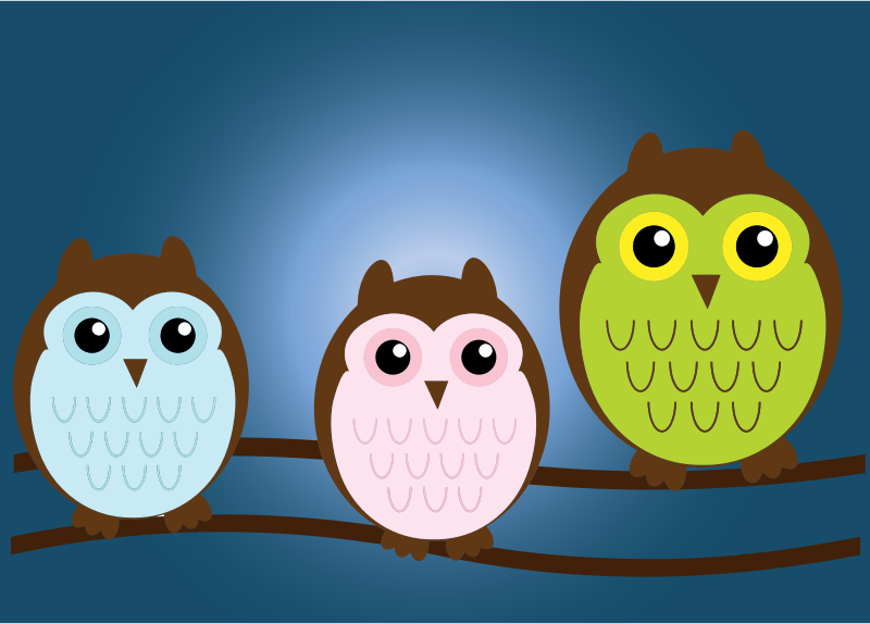 Owl Family