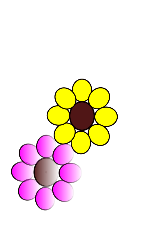 flowers purple and yellow