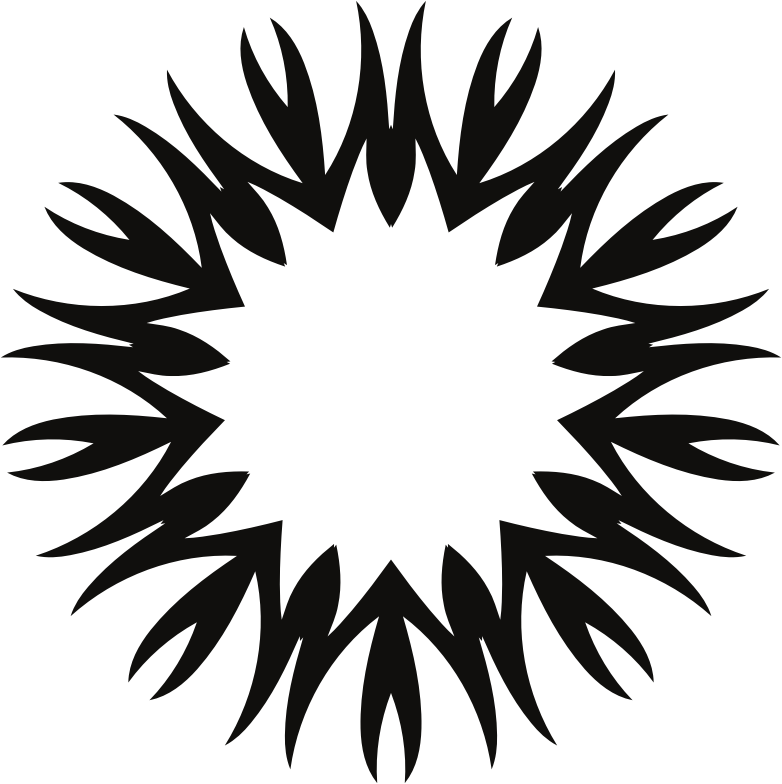 Black Sun