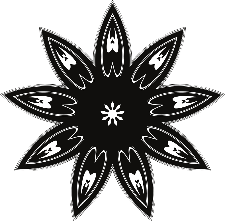 4 Out Of 5 Dentists Recommend This Ninja Star
