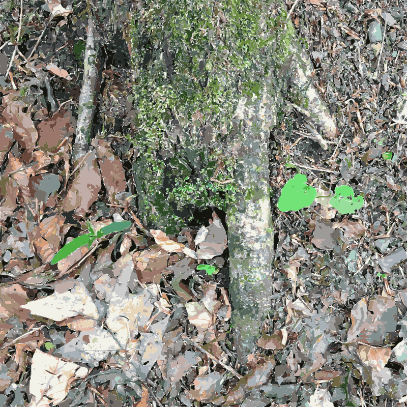 Hand of a Tree