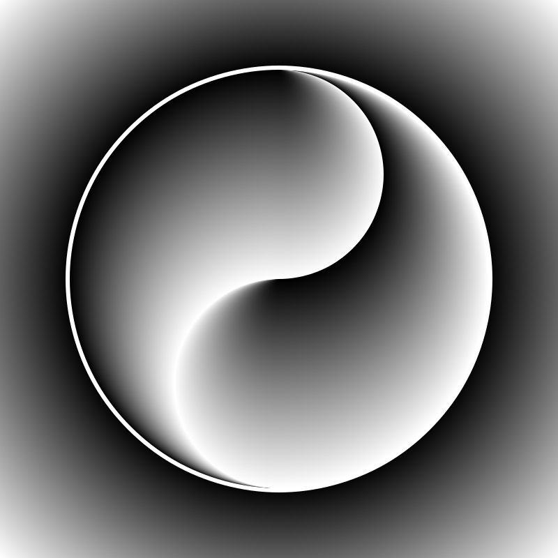 Yy16