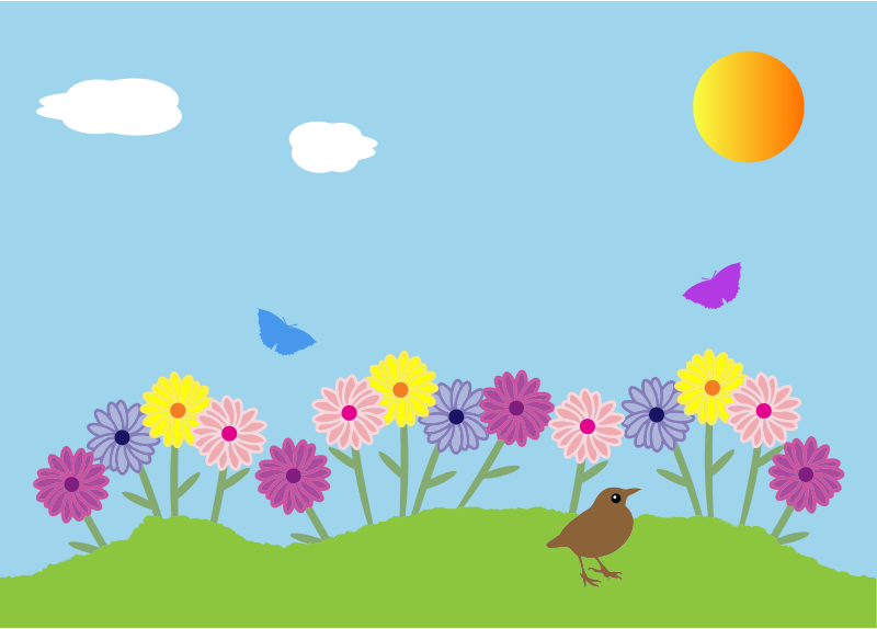 Summer Garden Flowers