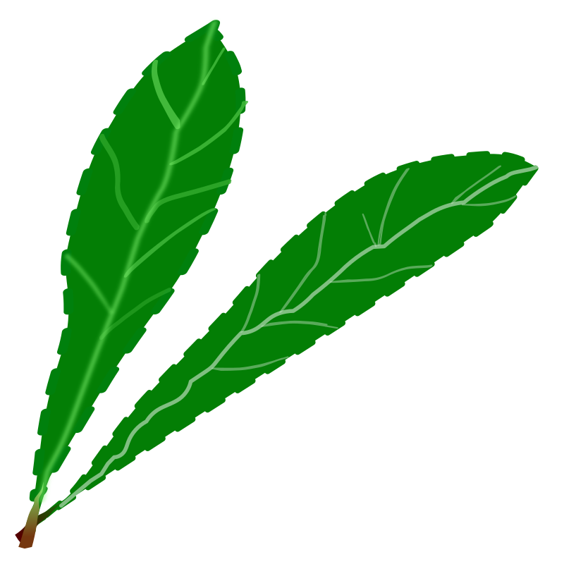 green leaves