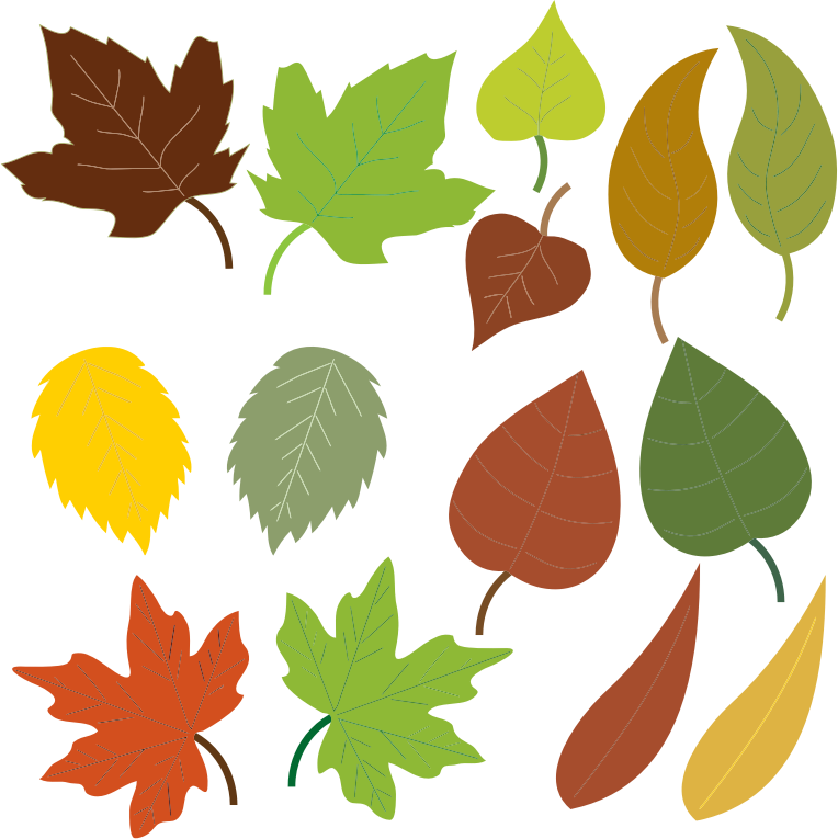 Variety Of Leaves