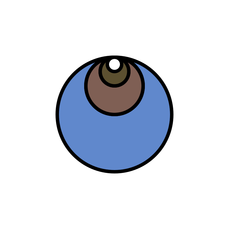 Movement-01(Circle-animation)