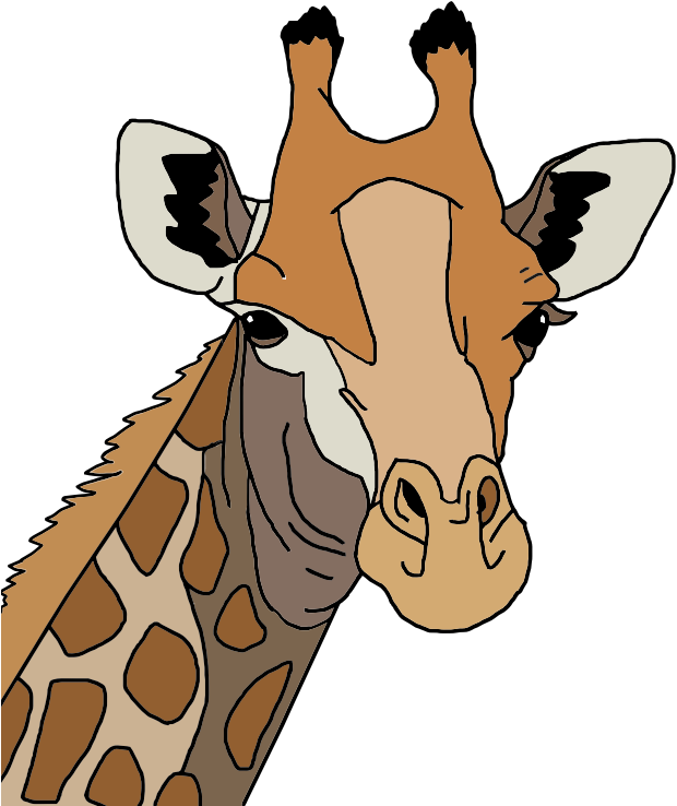 Colored Giraffe