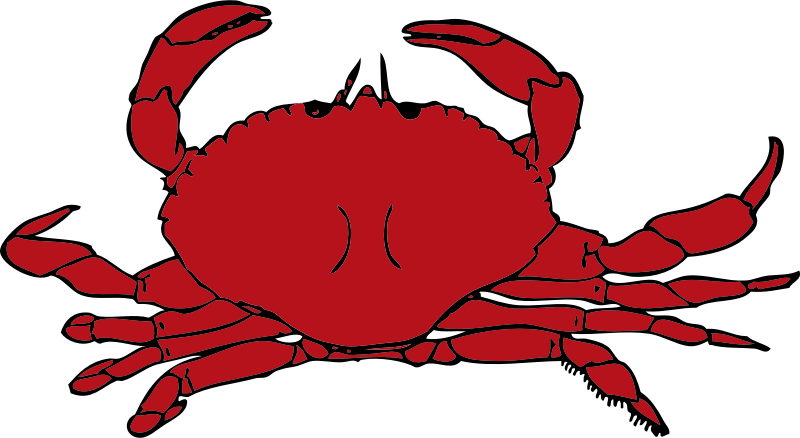crab