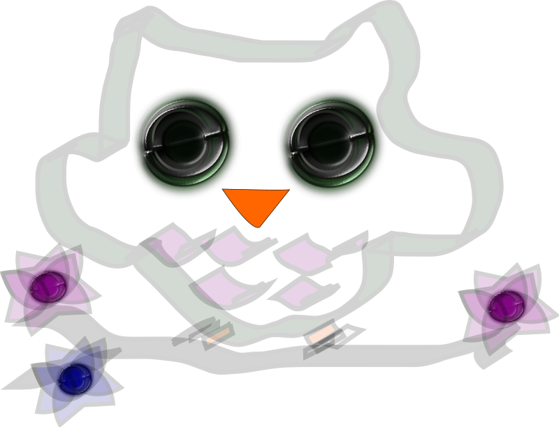 owl
