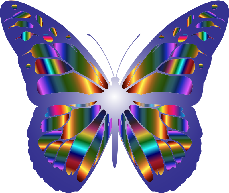 Iridescent Monarch Butterfly 9