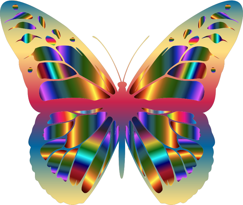 Iridescent Monarch Butterfly 15