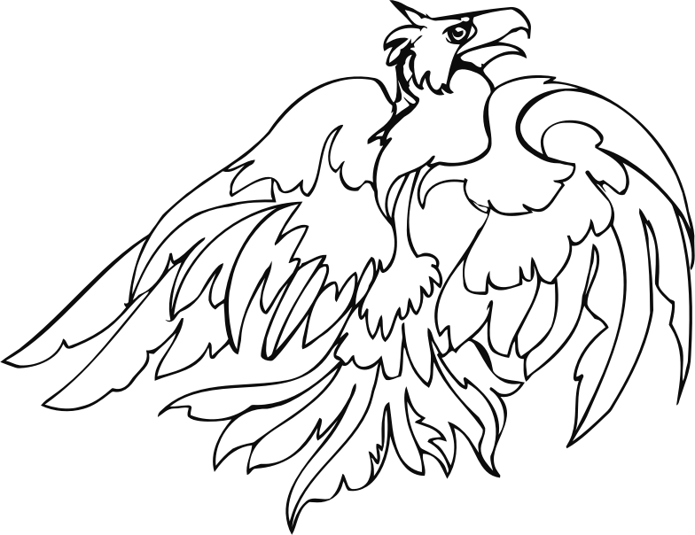 Bird Of Prey Line Art