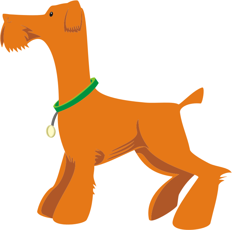 Orange Dog Profile