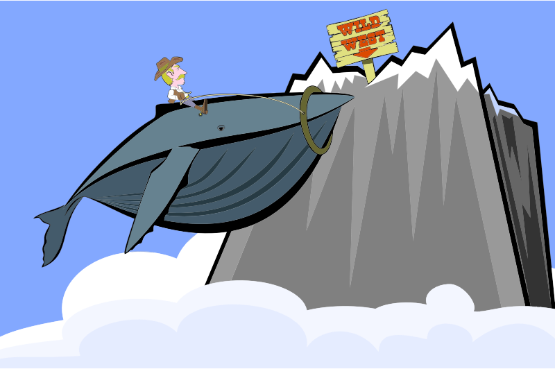 Flying Whale Cowboy