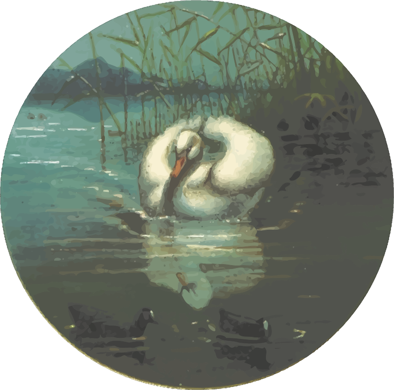 Circular swan drawing