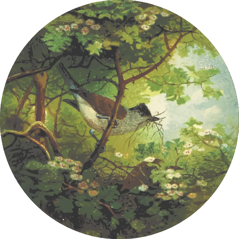 Circular blackcap drawing