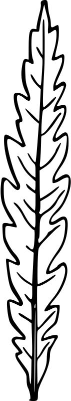 Leaf 5
