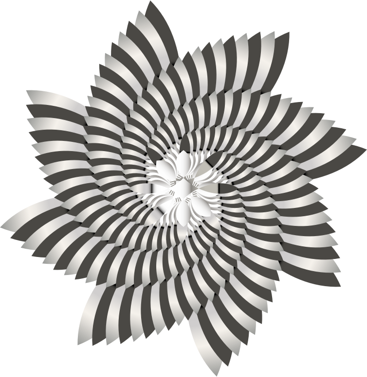 Hypnotic Nautilus