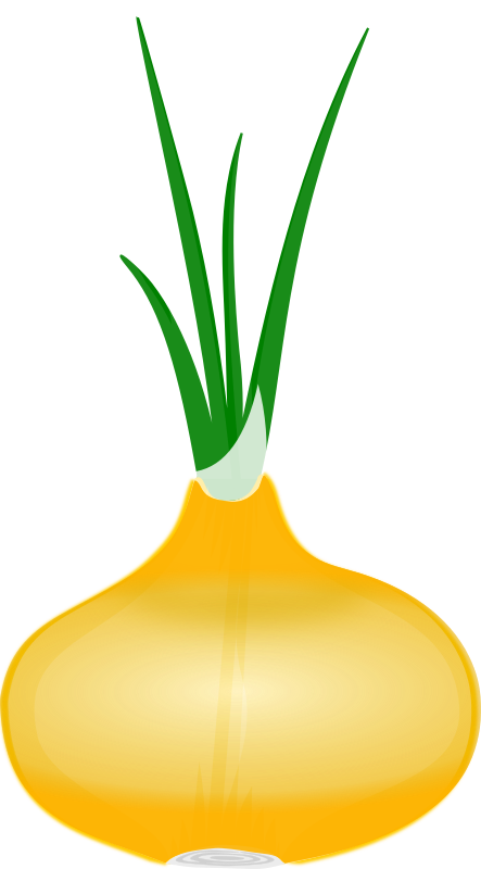 Onion