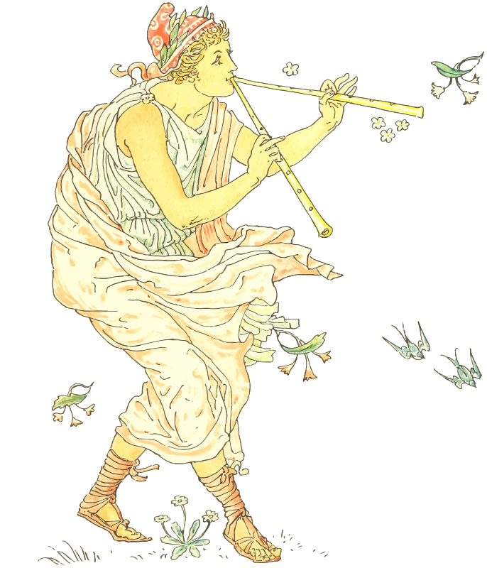 Piper