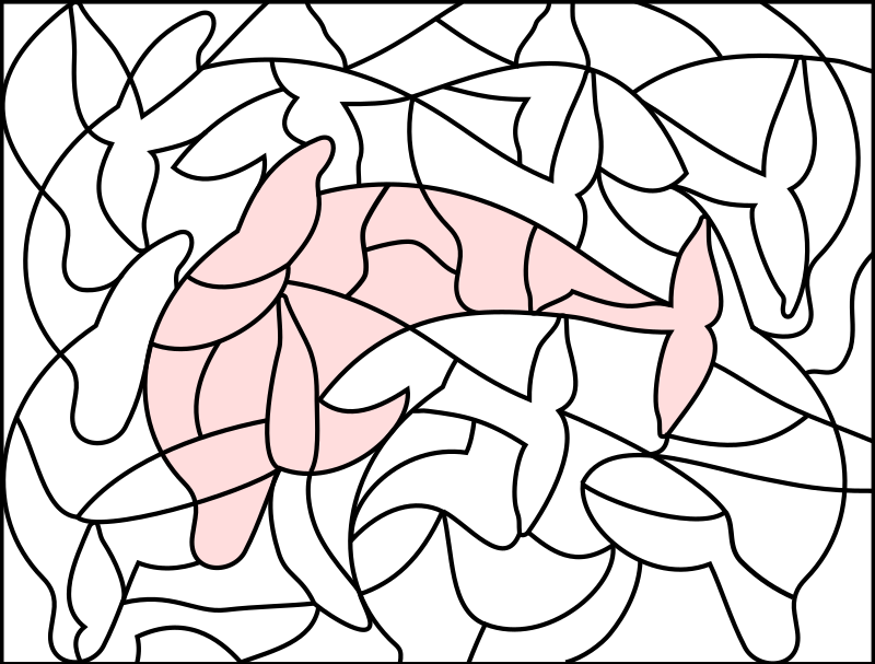 puzzle picture dolphin