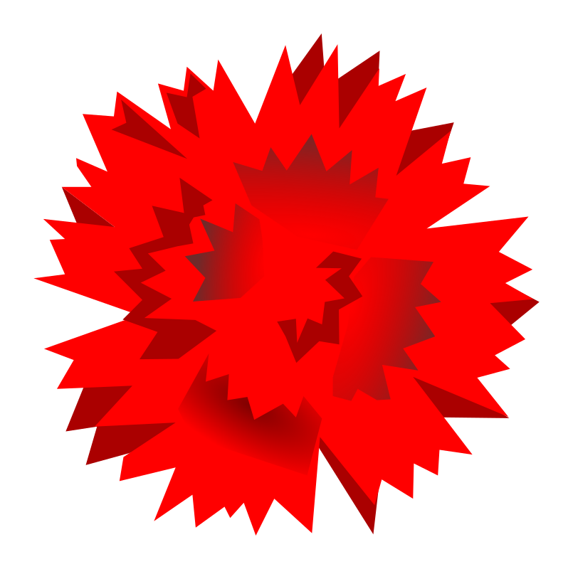 Carnation