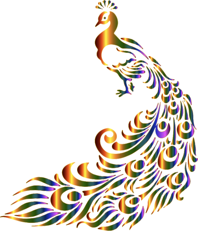 Chromatic Peacock 7 No Background