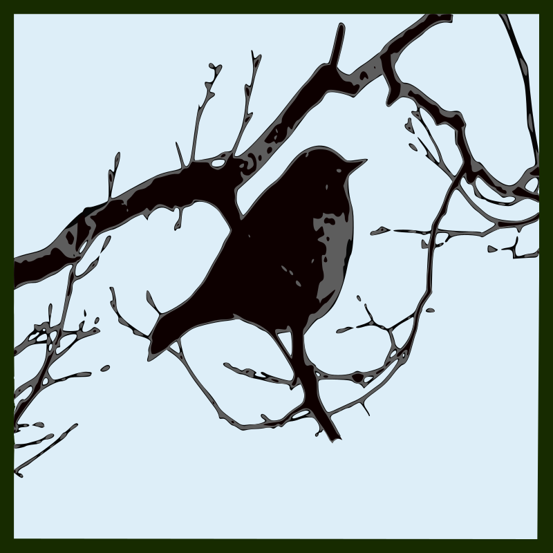 Bird silhouette 04