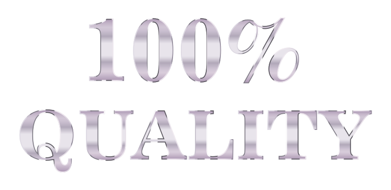 100 Percent Quality Typography Silver No Background
