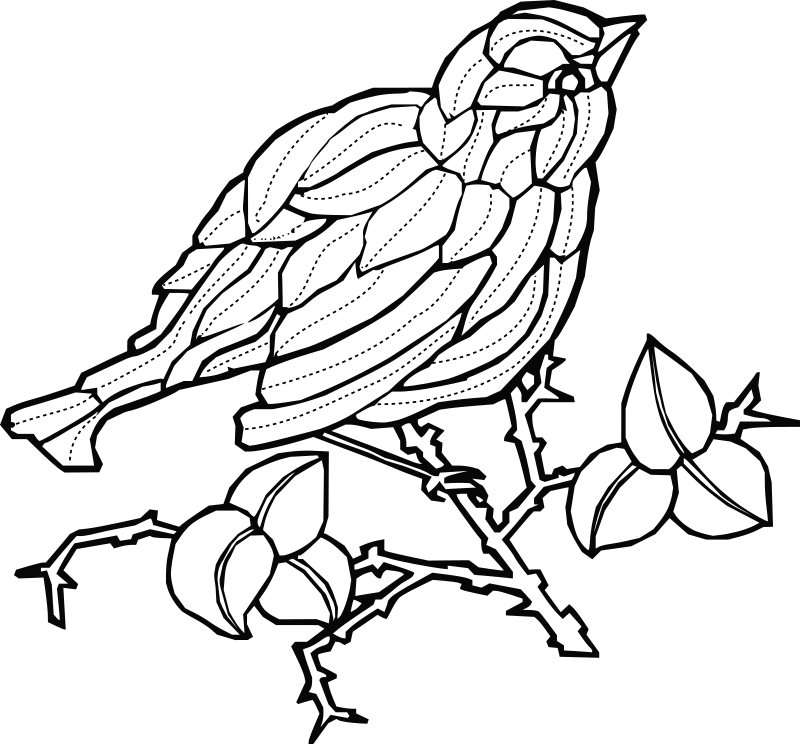 Bird 3