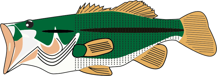 Stylized Bass