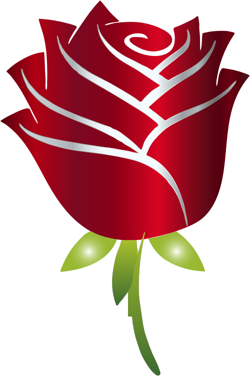 Stylized Rose Enhanced