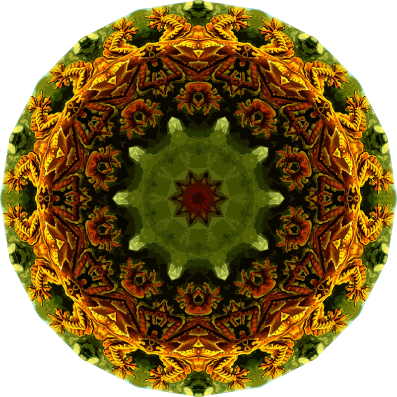 Lacertilia 8