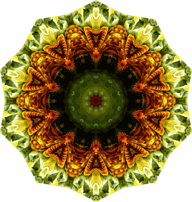 Lacertilia 9