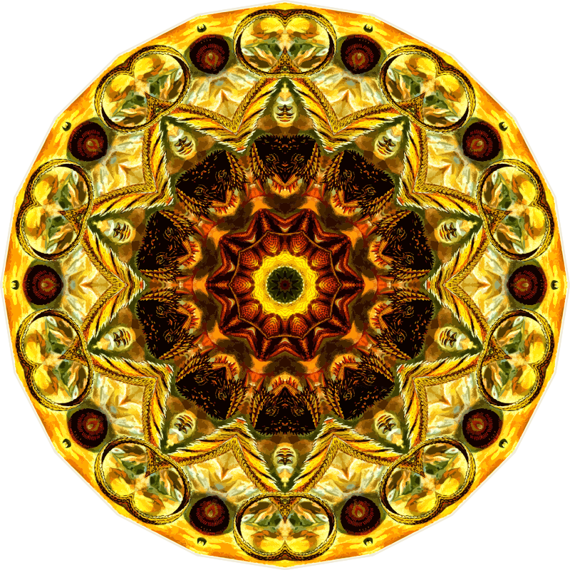 Lacertilia 12