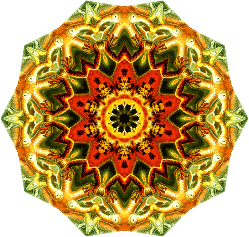 Lacertilia 16