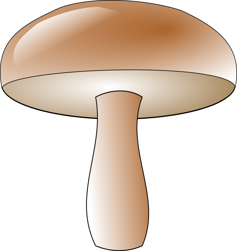 champignon