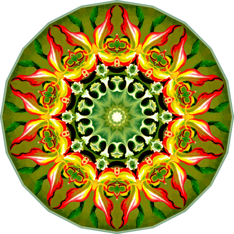 Orchidae 10