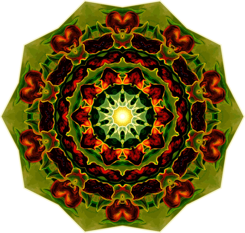 Orchidae 19