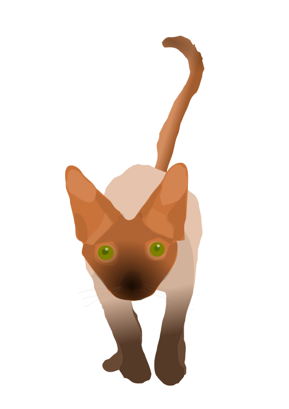 Devon Rex
