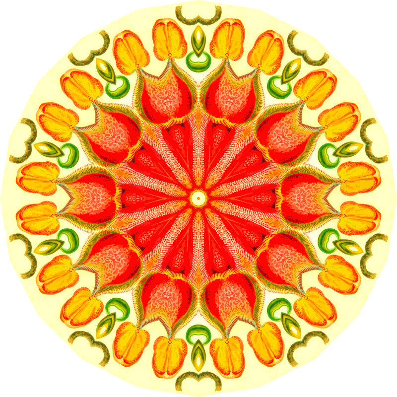 Nepenthaceae 5