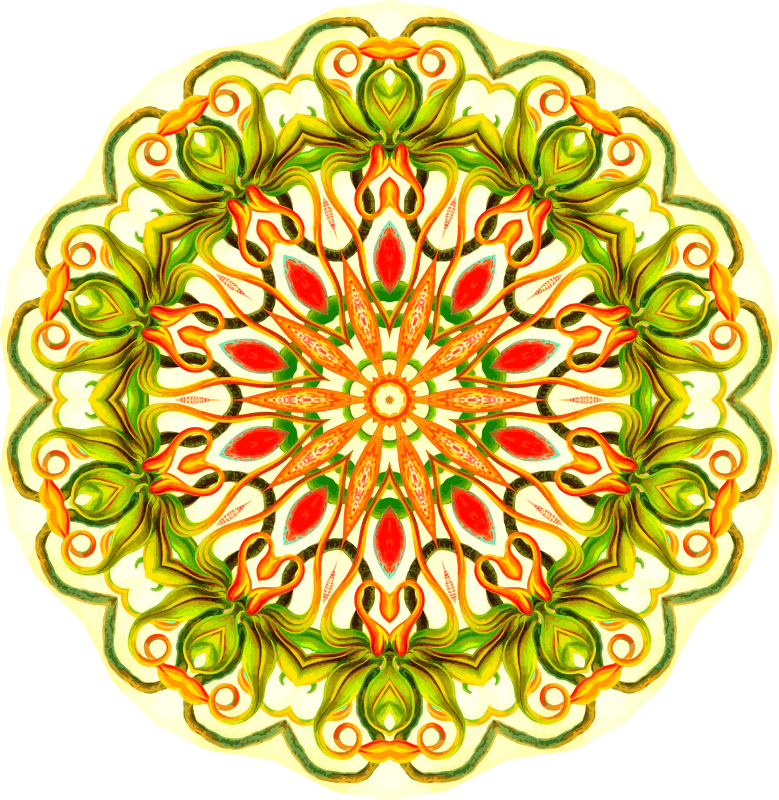 Nepenthaceae 6