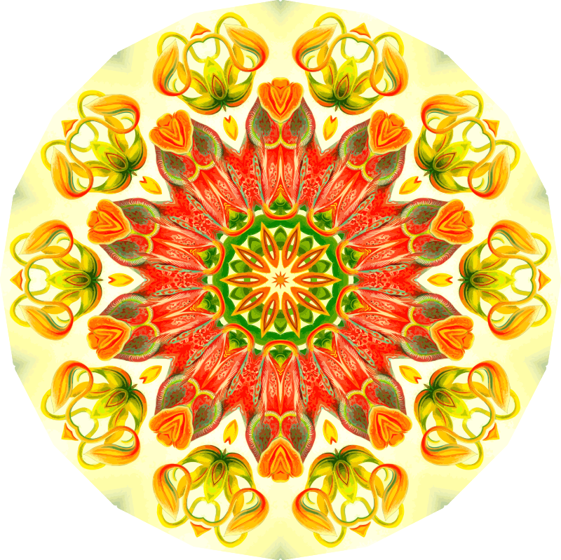 Nepenthaceae 7