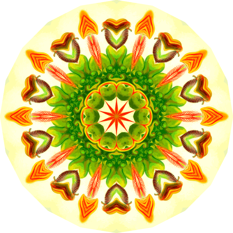 Nepenthaceae 8