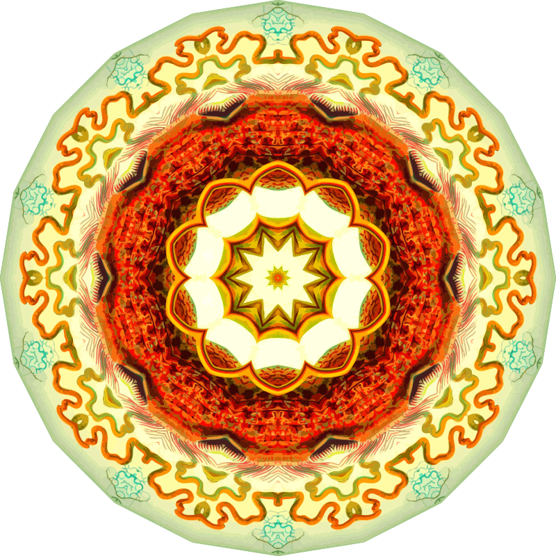 Nepenthaceae 10