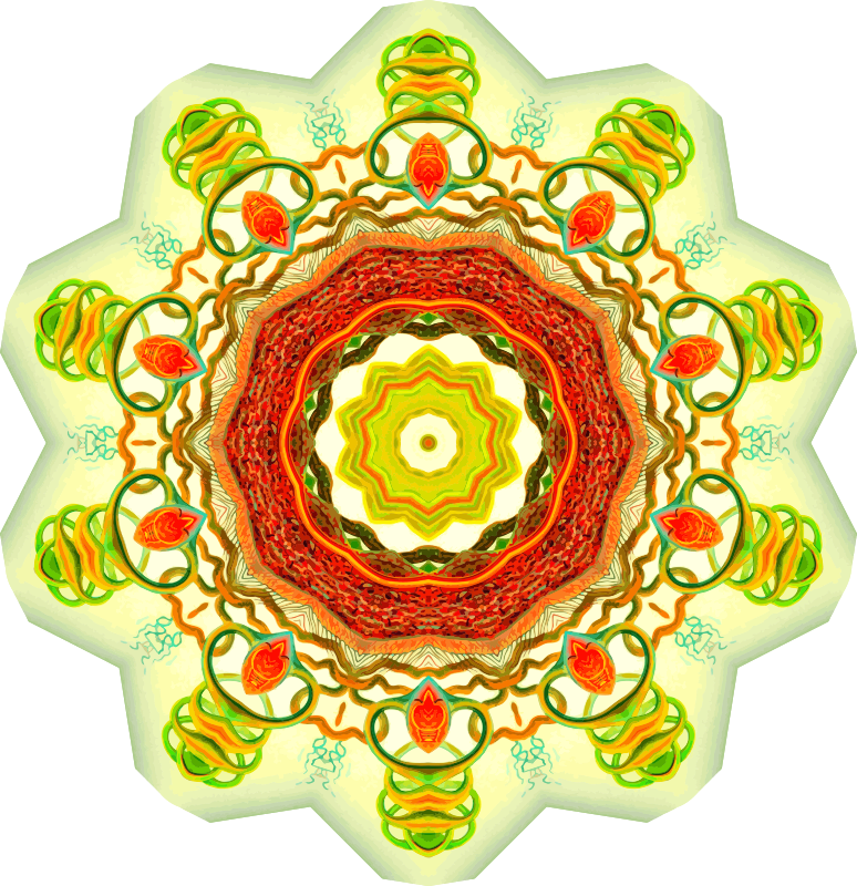 Nepenthaceae 12