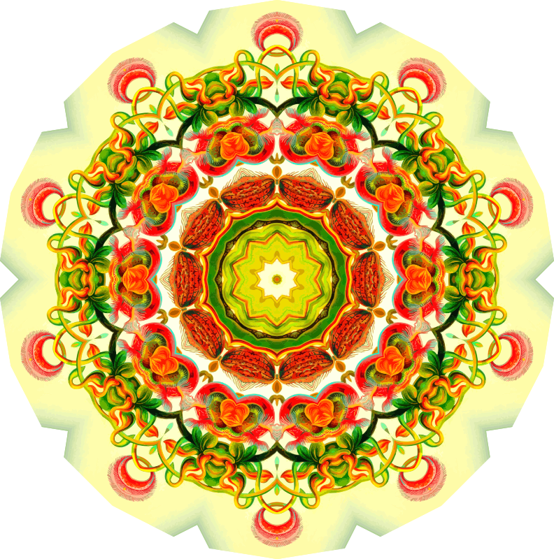 Nepenthaceae 13