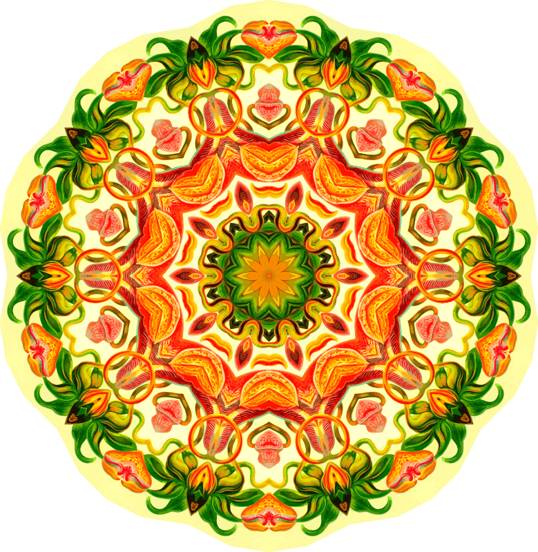Nepenthaceae 16