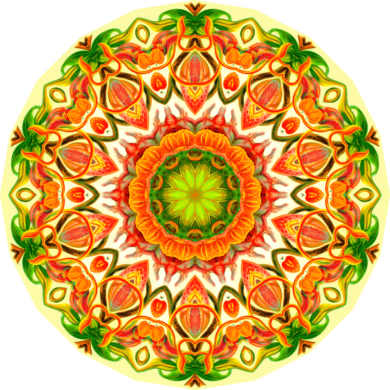 Nepenthaceae 15