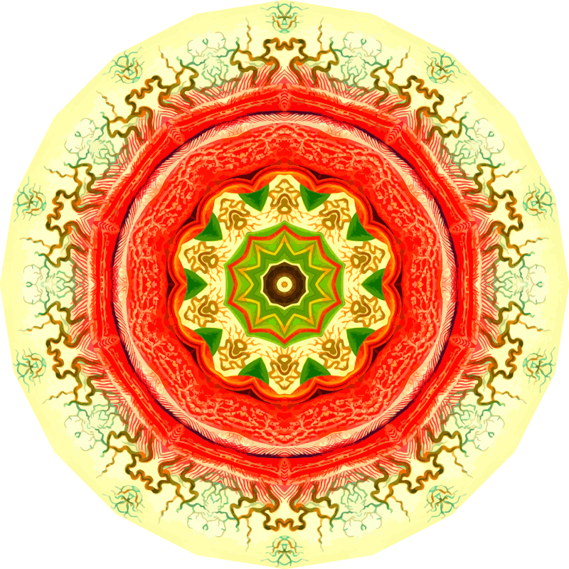 Nepenthaceae 20